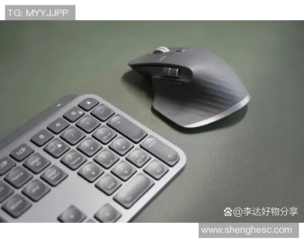 探索电竞外设的魅力与信仰之路键盘鼠标背后的深层次哲学