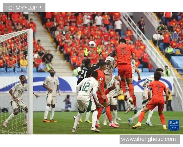 追逐梦想的巅峰时刻全满贯成就网球传奇人生